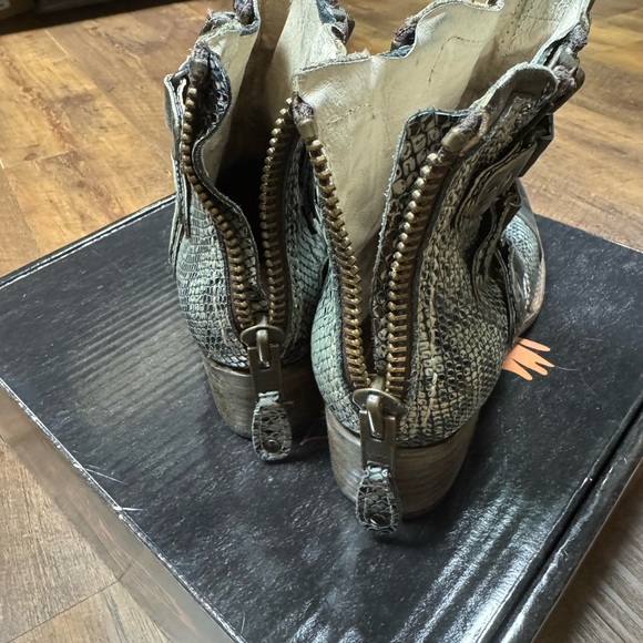 Freebird olive grecko 8 - Picture 4 of 5